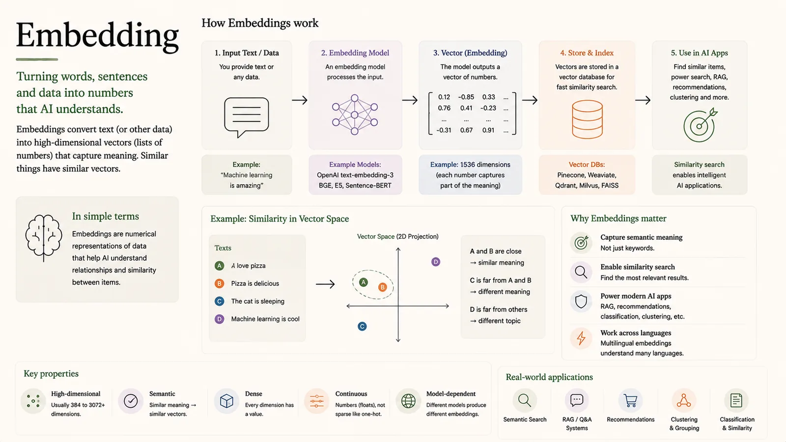 Embedding — Turning words and data into numbers AI understands.