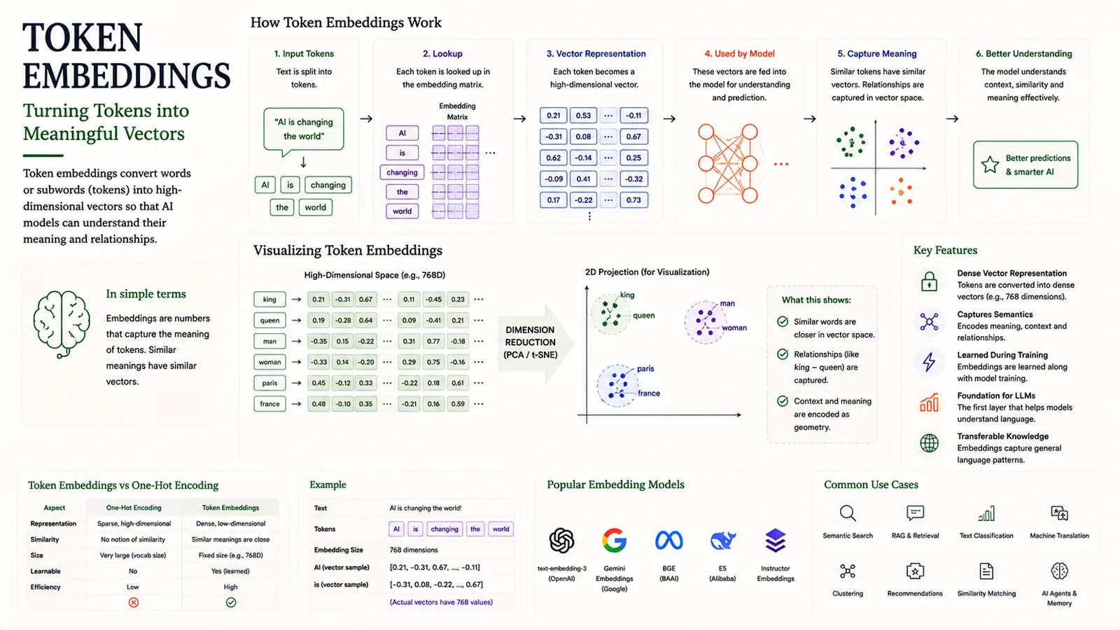 Token Embeddings — Turning tokens into meaningful vectors.