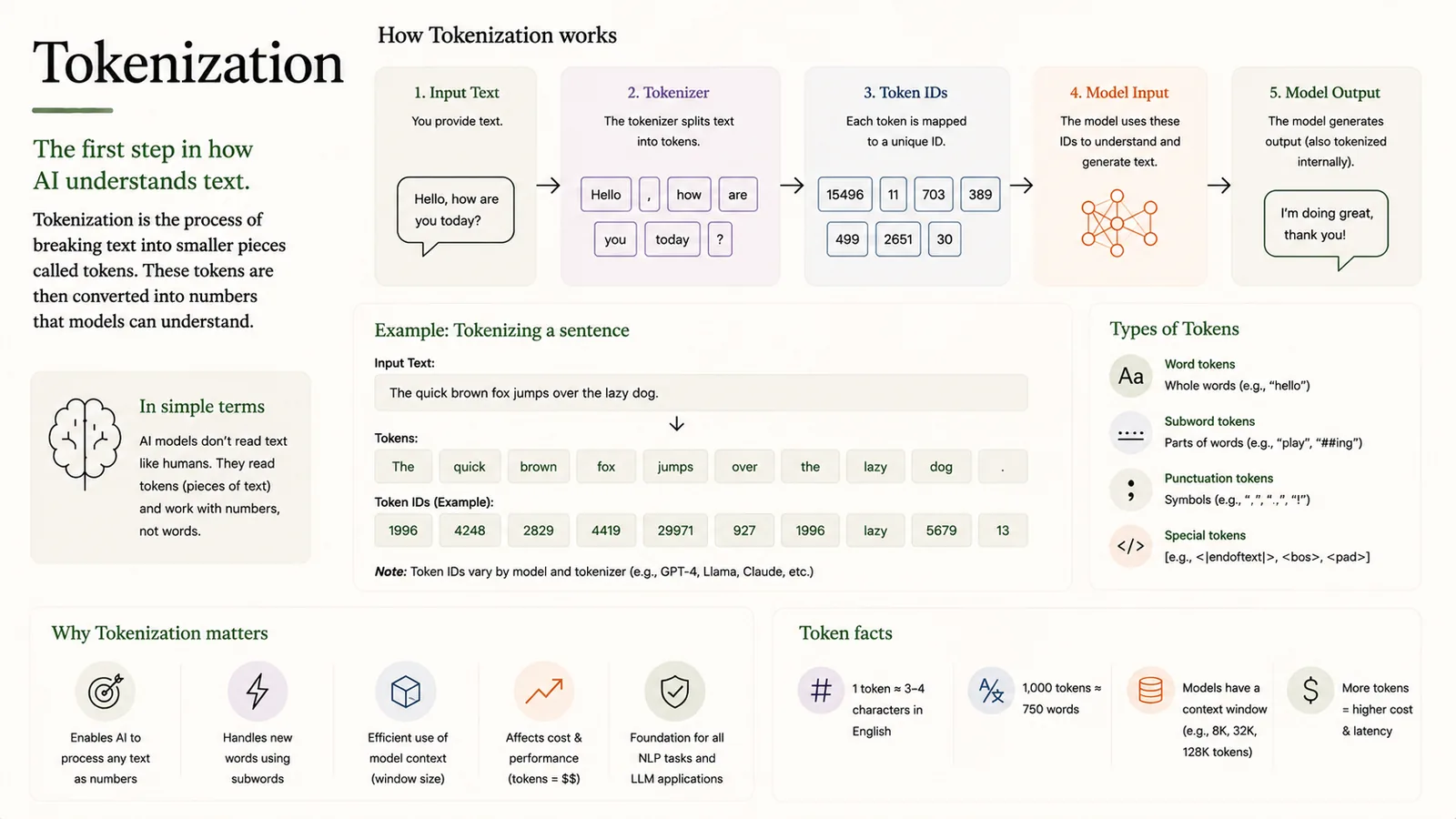 Tokenization — Breaking text into tokens the model can read.